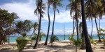 beach on Marie Galante, 